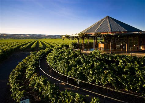 Learn 89 About Wineries South Australia Best Daotaonec