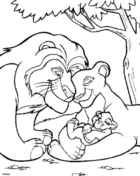 Desenho De Simba Nala E Filhote Para Colorir Tudodesenhos