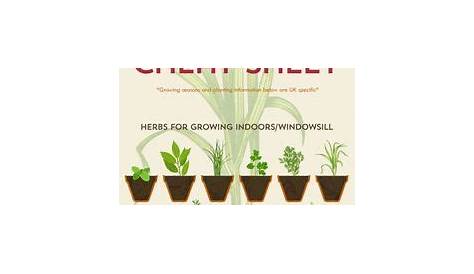 Anyone Can Grow Herbs With This Super-Helpful Chart | Herb grower