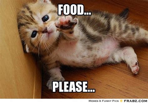Whatever you want to say, there's a meme for that. Food Meme food please | Picsmine