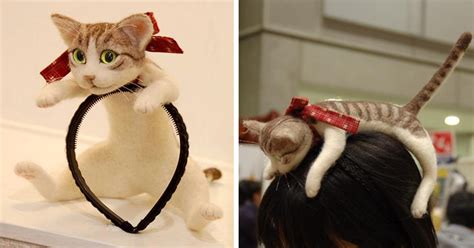 Cat Hairband Lets You Wear An Entire Kitten On Your Head Bored Panda