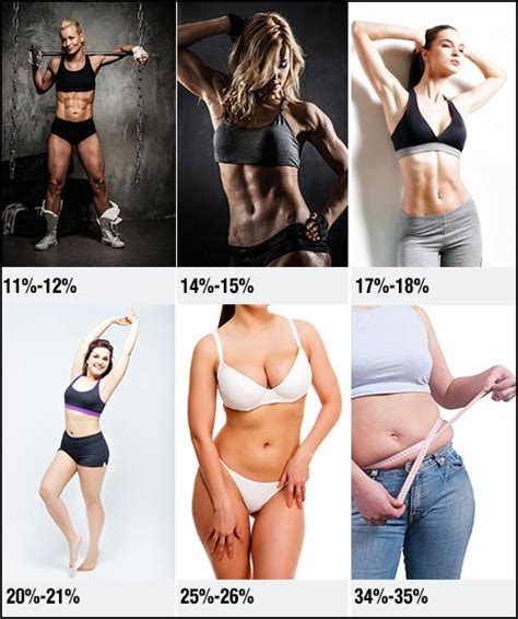 How To Measure Body Fat And Why It Is Important