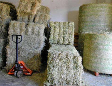 Alfalfa Blocks Whispering Ranches Feed