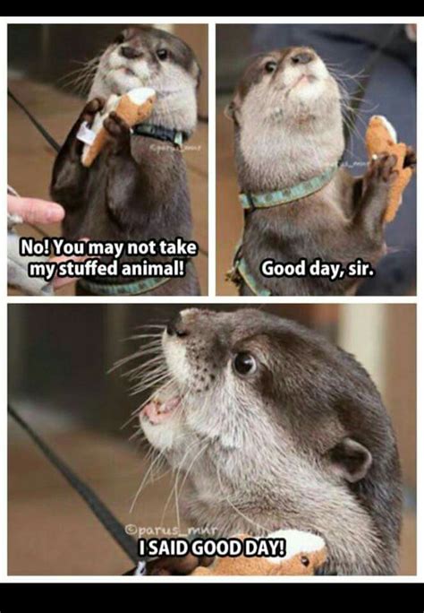 Good Day Funny Animal Quotes Animal Jokes Funny Animal Pictures