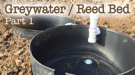 Greywater Reed Bed Filtration System Part 1 Our Grey Water All