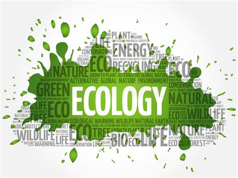 Ecology Word Among The Grass Stock Illustration Illustration Of