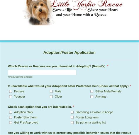 Lyr Adoptionfoster Application Form Template Jotform