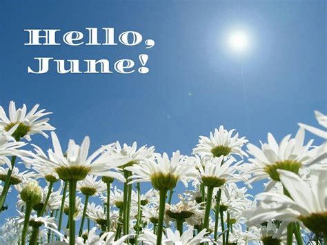 Hello June Month Quotes Hello June Hello June Month Wallpaper