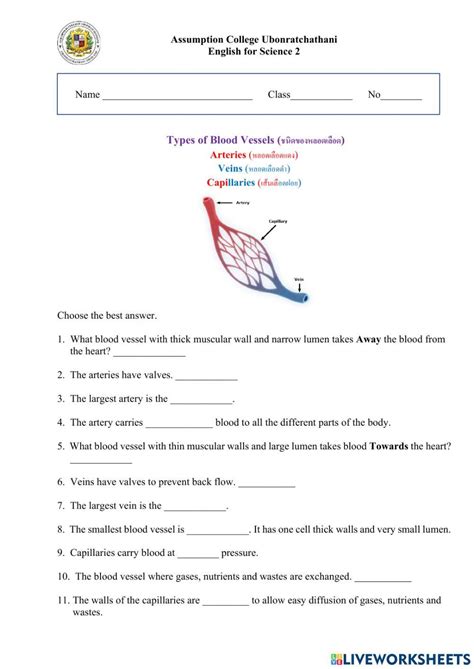 Types Of Blood Vessels Worksheet Live Worksheets