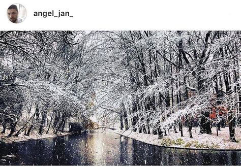 The Ultimate Dutch Winter Wonderland Photo Report Dutchreview