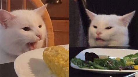Download Cat Sitting At Table With Salad Meme Png And  Base