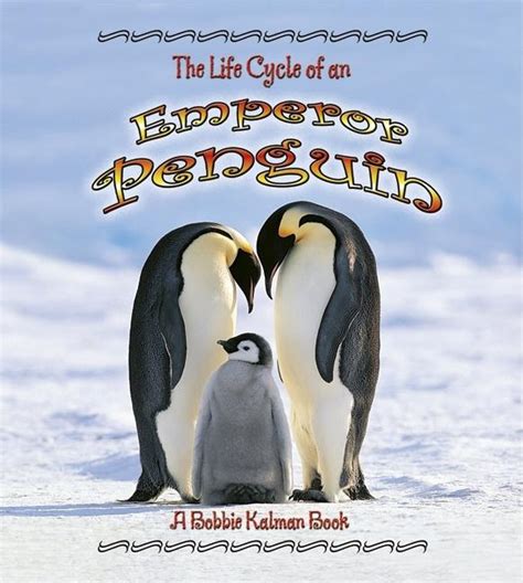 Teachingbooks The Life Cycle Of A Emperor Penguin