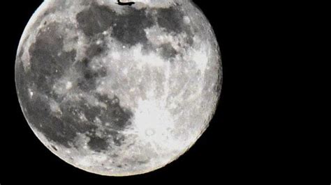 ¿qué Es La Cara De La Luna Y Cuándo Puede Observarse