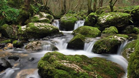 446640 Long Exposure Grass Moss Tropical Forest Waterfall Nature