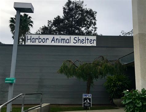 Los Angeles County - Pet Harbor Animal Shelter - Love4RAnimals