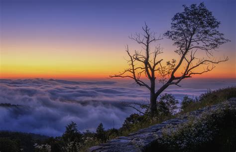 Mountain Tree Clouds Morning Peak Wallpapers Hd Desktop And
