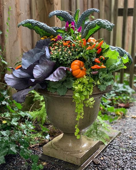 Learn 8 Ways To Take Your Fall Planters To The Next Level Get Tips