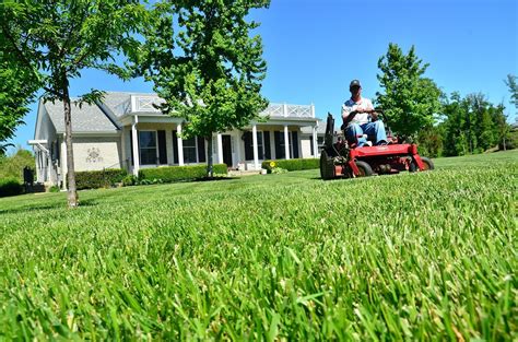 How You Can Spot A Good Lawn Care Service Greenskeeper