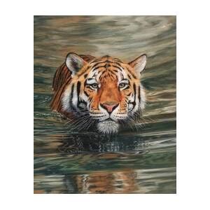 Tiger Cub Painting Poster By David Stribbling