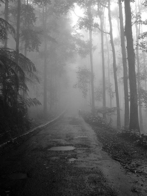 Foggy Road By R U On Deviantart Foggy Country Roads Take Me Home