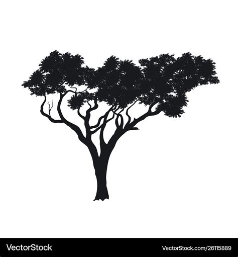 Black Silhouette African Tree Isolated Image Vector Image