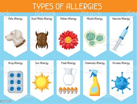 Types Of Allergies Background With Allergens And Symbols Vector