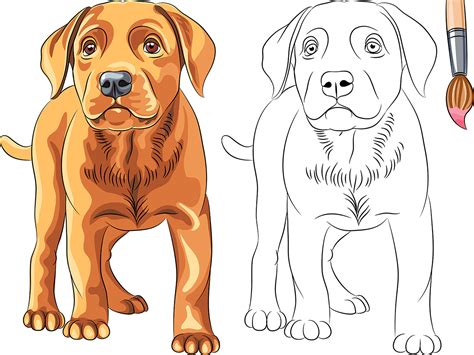 Como Dibujar Un Perro Como Dibujar Un Perro Perritos Para Dibujar