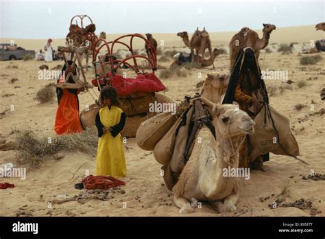 Bedouin Tribes In Saudi Arabia