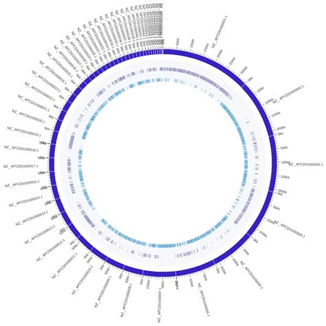 How Can I Draw Circular Genome Map For Our Complete Genome Sequence Of