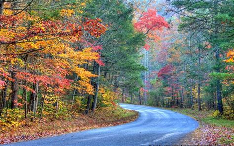 Fall Foliage Driving Tour Fall In Pa Visit Pa Great Outdoors