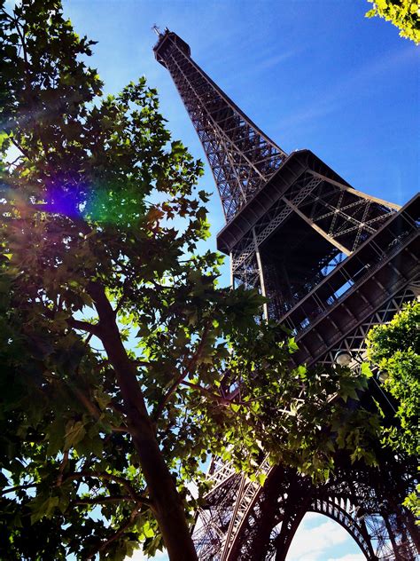 Fotos Gratis árbol Cielo Luz De Sol Flor Torre Eiffel París