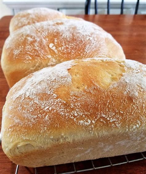 Sourdough Starter And Bread Recipe Recipe Bread Starter Bread Recipes Sourdough Bread Recipe