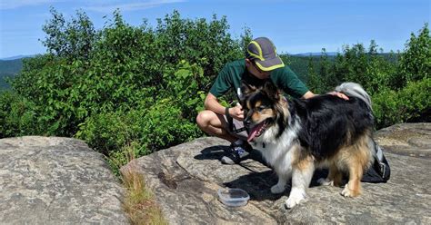 Tips For Hiking With Your Dog In The Adirondacks