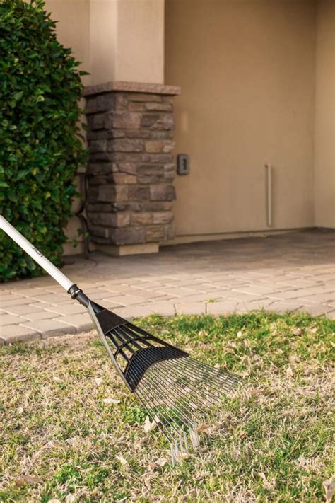 It's an old slang, goes back to elizabethan times or earlier i think. Removing Lawn Thatch | HGTV