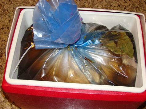 Get What Type Of Container To Brine A Turkey Gif Backpacker News