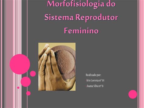 Ppt Morfofisiologia Do Sistema Reprodutor Feminino Powerpoint