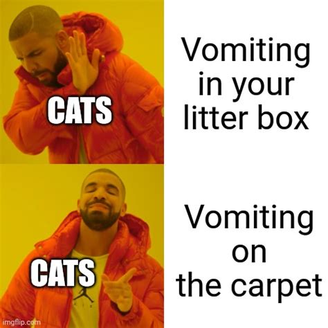 Why Dont Cats Also Vomit In Their Litter Box Imgflip