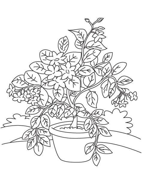 You can also see her with having a good time with her best friend a tiger named rajah. Jasmine tea coloring page | Download Free Jasmine tea ...