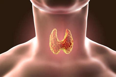 5 Simple Tips For Quick Recovery After Thyroid Surgery The Washington