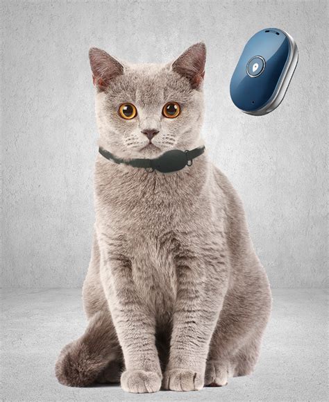 Simply locate your cat anytime, anywhere using your smartphone and the gpcats cat collar. Reptrek Minitrek - GPS for cats and dogs - Reptrek.com