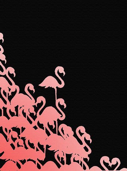 Flamingo~abstract Flamingo Illustration On Black Background ℙ∫ηк ℱla๓
