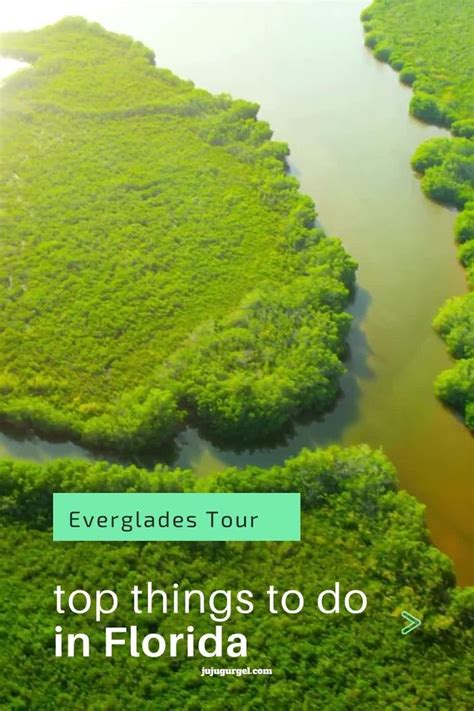 Top Things To Do In Florida The Everglades Video Everglades