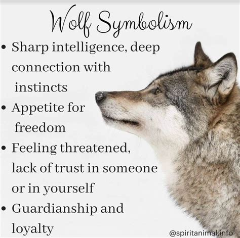 Pin By Chrissy Yitzhary On Full Moon Lovers Wolf Symbolism Spirit