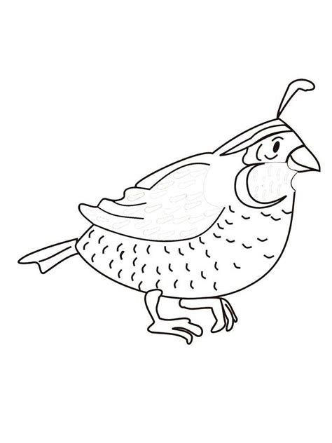 Ideas to your friends and family via your social media account. Free Quail coloring pages. Download and print Quail ...