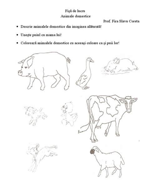 Animale de colorat, animale domestice, animale salbattice, ds, fise, fise de lucru, fise gradinita, incercuiti multimea, multimi, reprezentati prin fiecare fișă de lucru conține: Fise De Lucru Cu Animale Domestice