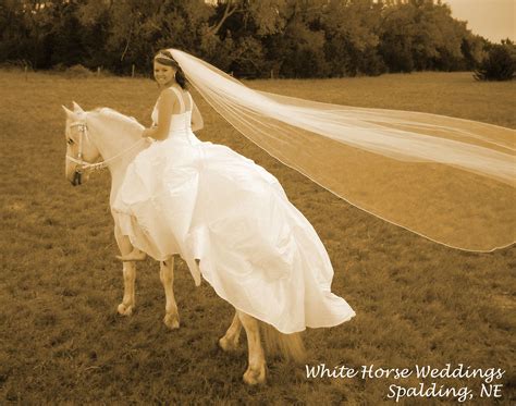 You Can Rent This Lovely Horse For Your Wedding Horse Wedding