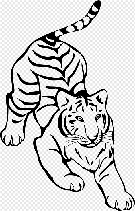 Tiger Line Art Drawing Tiger White Mammal Face Png Pngwing