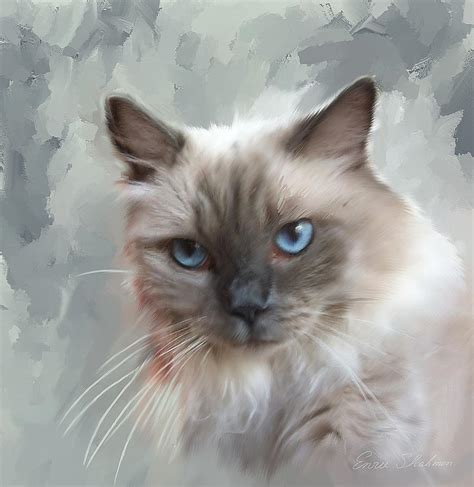 Ragdoll Cat Painting By Enzie Shahmiri