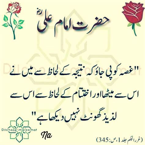 Pin By Nauman On Islamic Urdu Islamic Inspirational Quotes Ali Quotes
