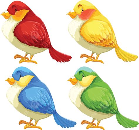 Birds Domestic Group Clipart Vector Domestic Group Clipart Png And